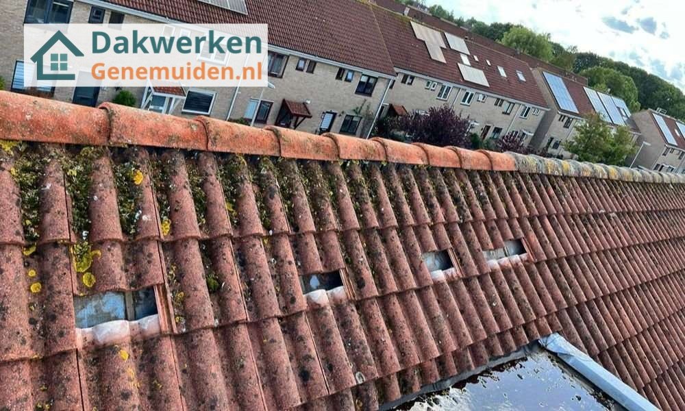 Een dakrenovatie bij oud pannendak in Genemuiden